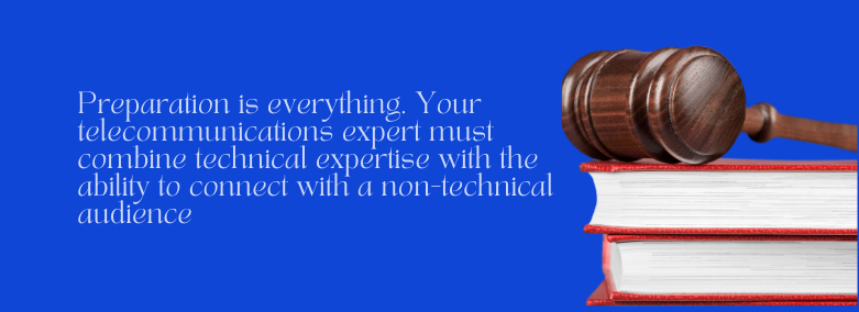 expert witness services