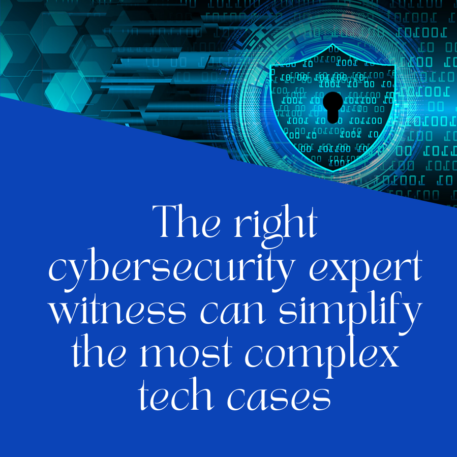 Cybersecurity Expert Witness