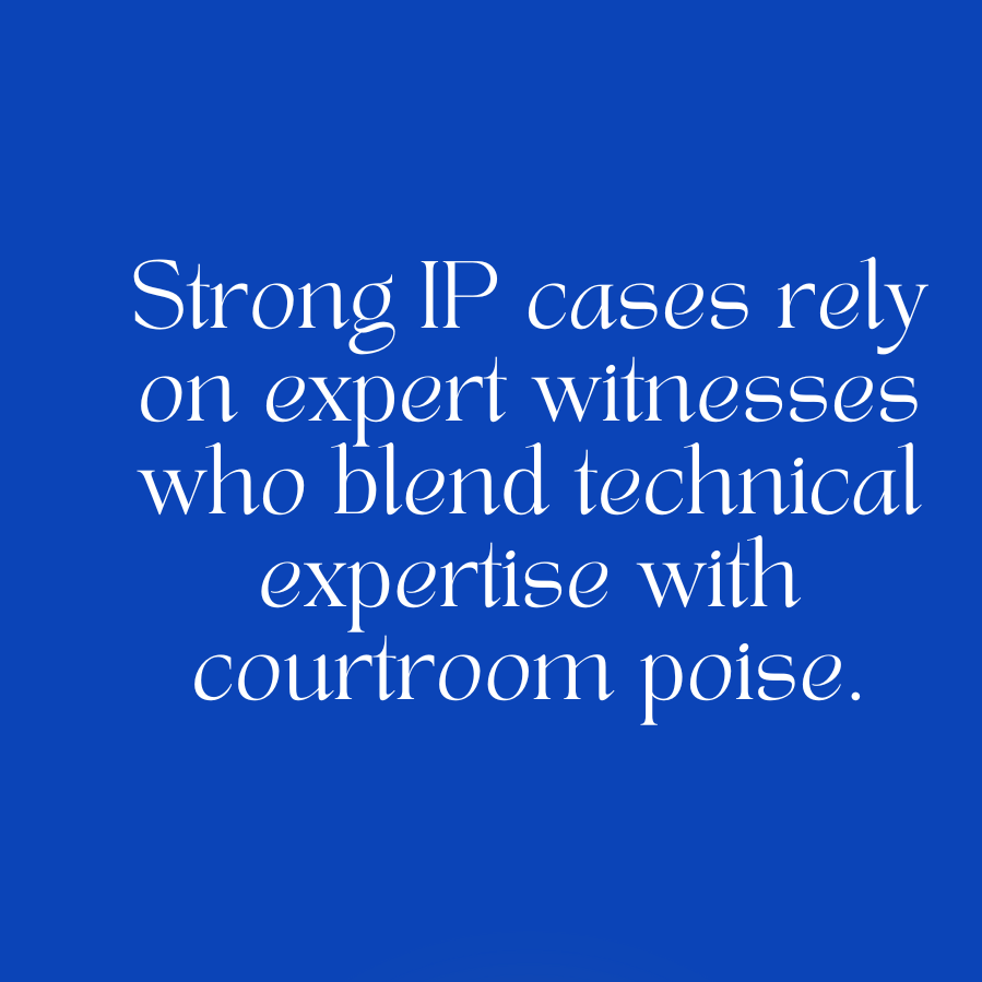 IP Litigation Experts