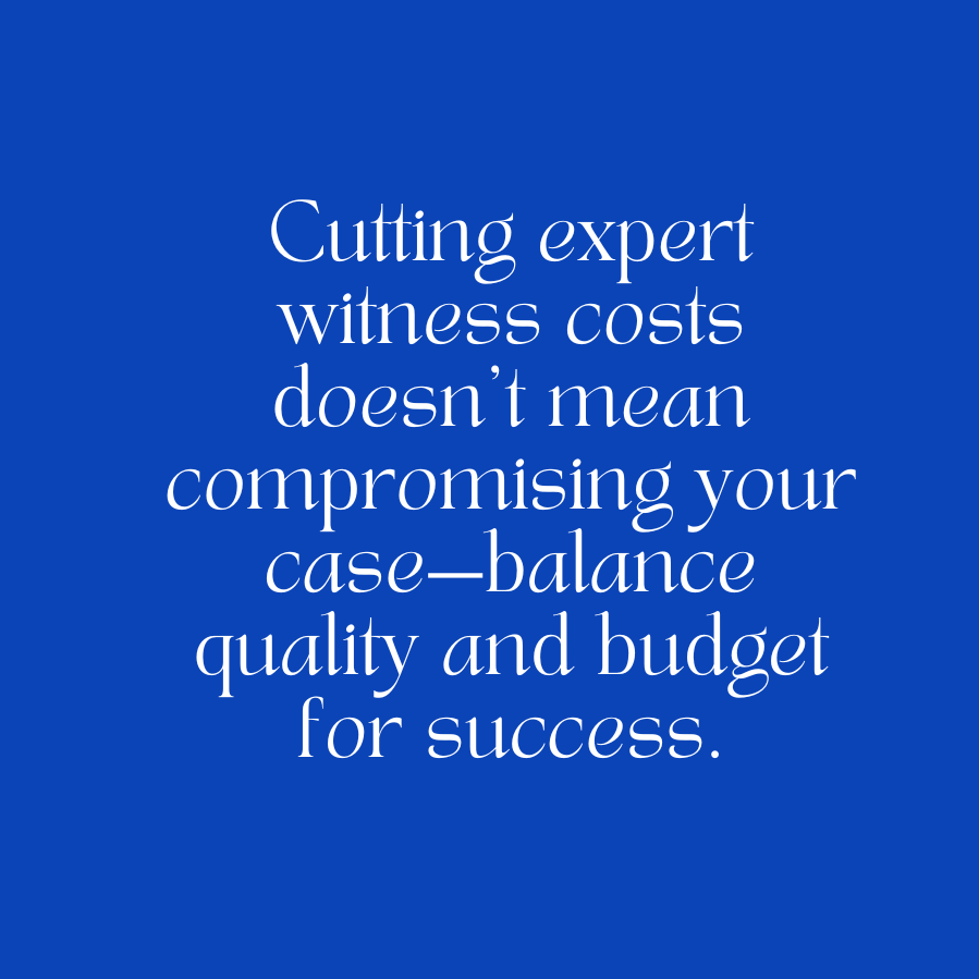 Expert Witness Costs