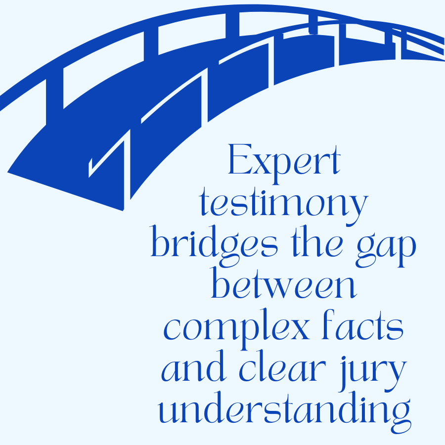 Expert witness undergoing courtroom preparation training