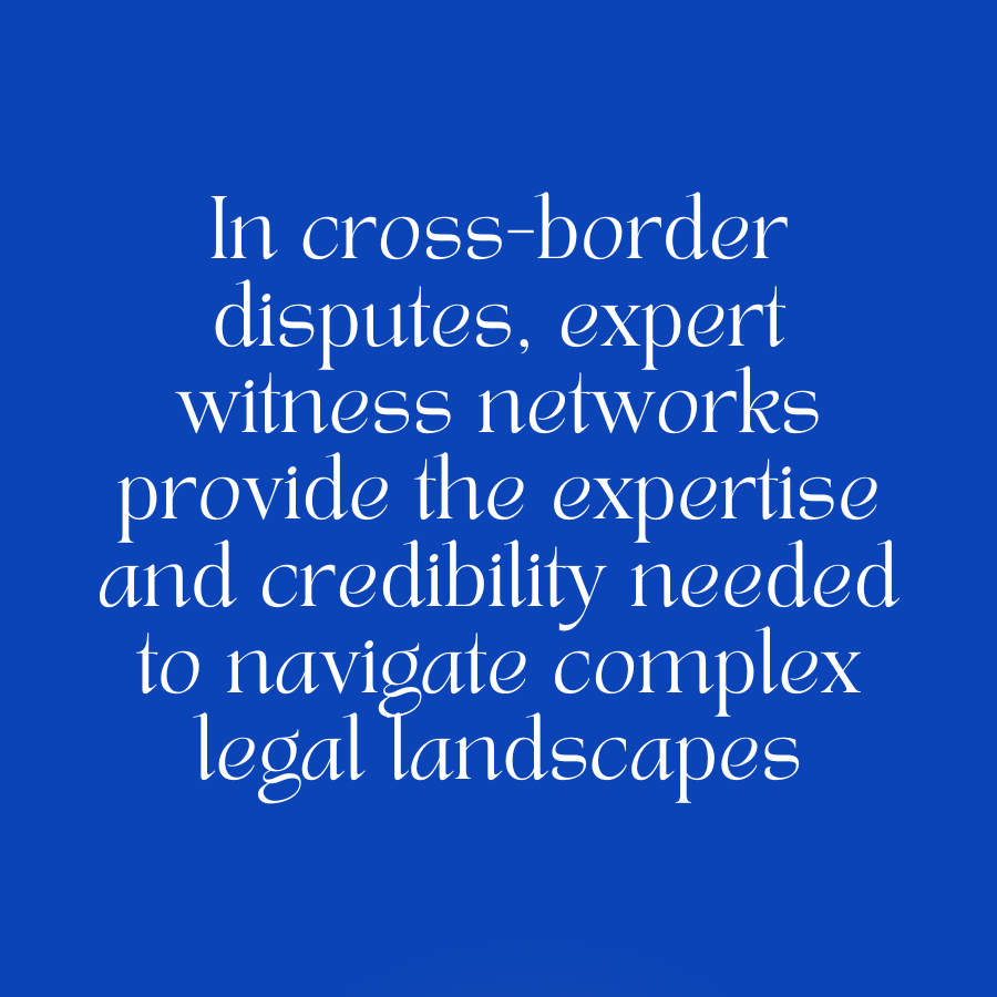 Expert witness network consultation for cross-border litigation strategy